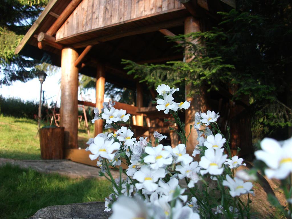 Willa Na Bani - Apartamenty I Pokoje Rabka-Zdrój Exterior foto